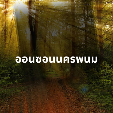 ออนซอนนครพนม album art