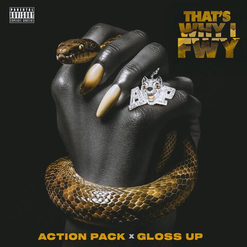 THAT'S WHY I FWY album art
