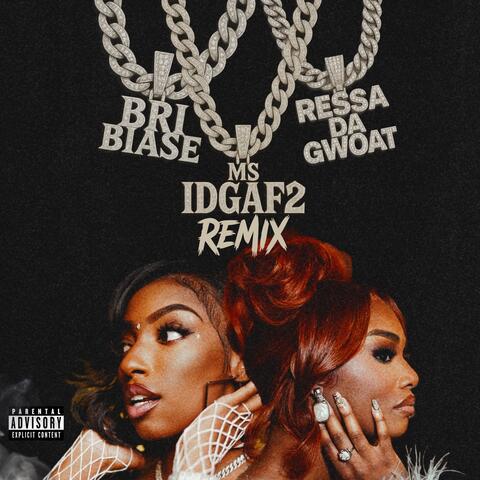 Ms.IDGAF 2 Remix album art