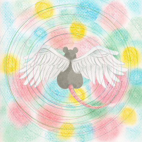 Animaru album art