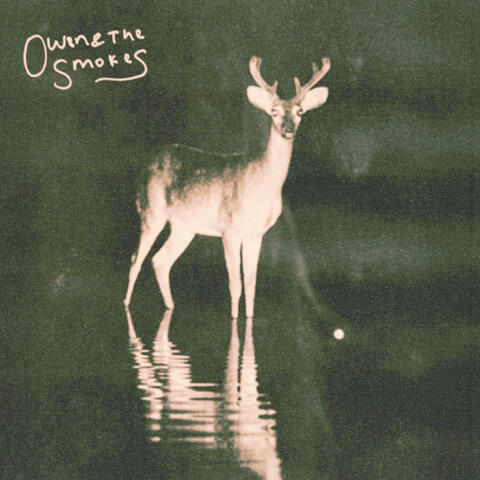 Morning Light album art