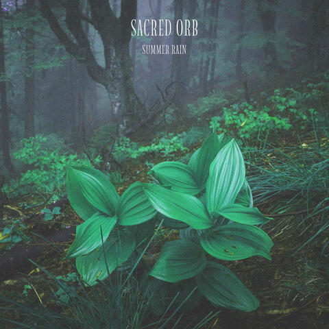 Summer Rain album art
