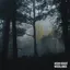 woodlands album artwork