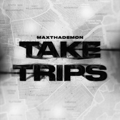 Take Trips album art