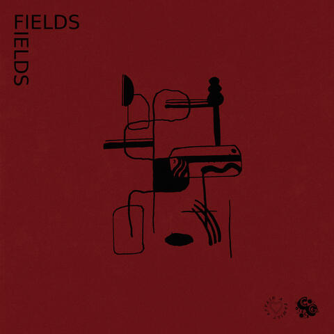 Fields album art