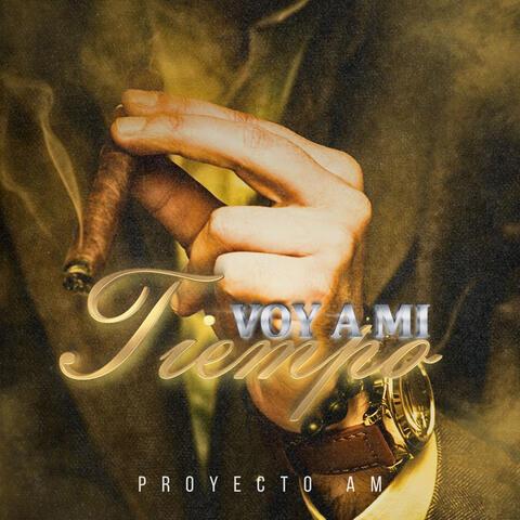 Voy A Mi Tiempo album art