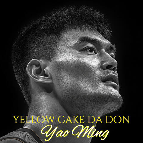Yao Ming album art