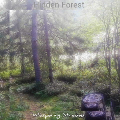 Hidden Forest album art