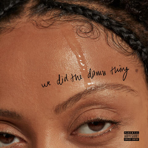 We Did The Damn Thing album art