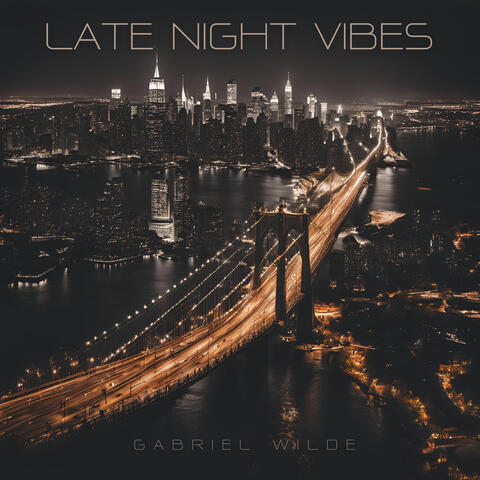 Late Night Vibes album art