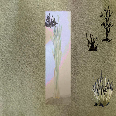 A Walk in the Grass album art