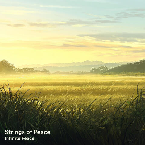 Infinite Peace album art