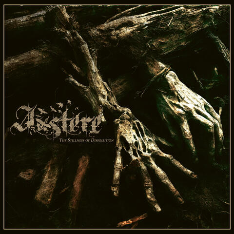 The Stillness of Dissolution album art