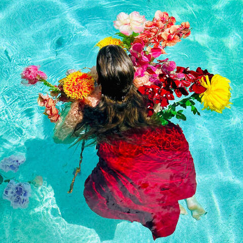 The Shelter I Need album art