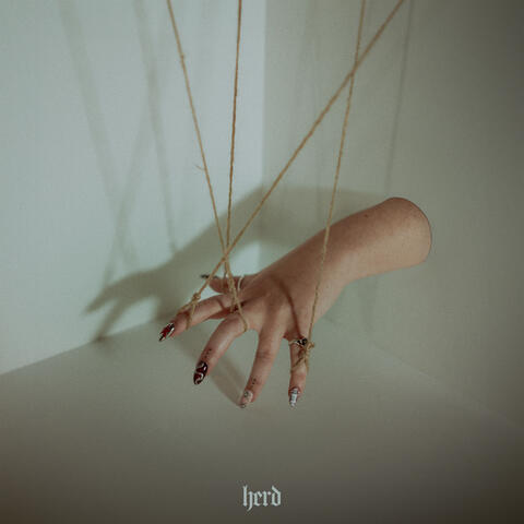 Herd album art