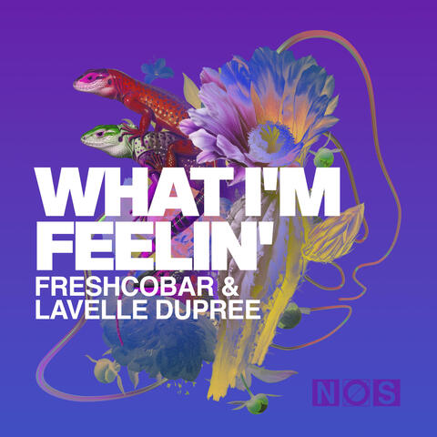 What I'm Feelin' album art