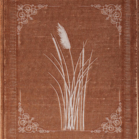 Le roseau album art