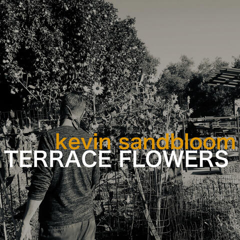 Terrace Flowers album art