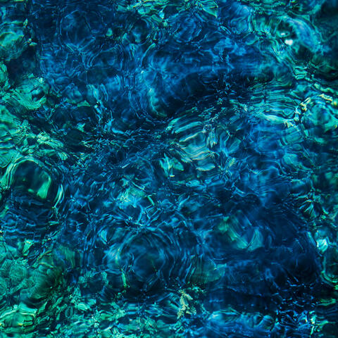 Luminescent Creatures album art
