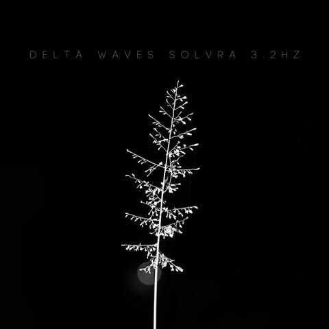 Delta Waves Solvra 3.2Hz album art