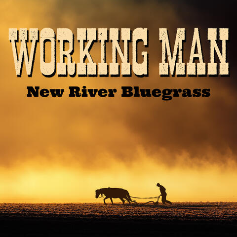 Working Man album art