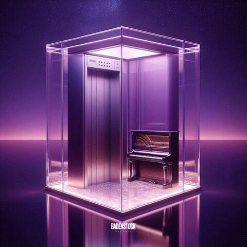 Night Stars album art