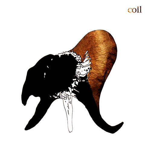 The Wraiths And Strays Of Paris album art