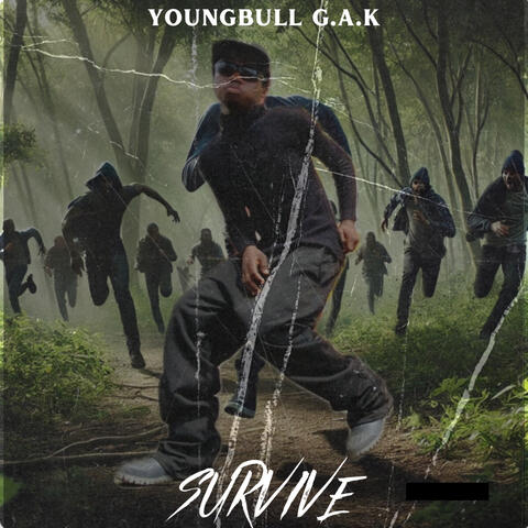 SURVIVE album art