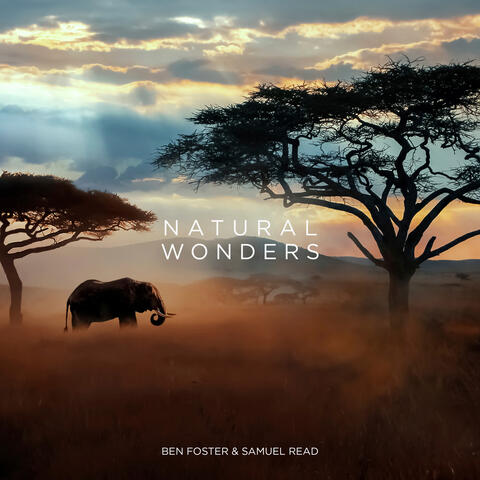 Natural Wonders album art