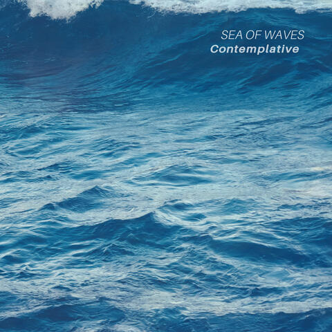 Contemplative album art