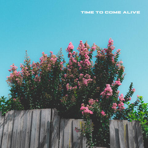 Time to Come Alive album art