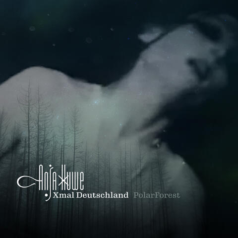 PolarForest album art