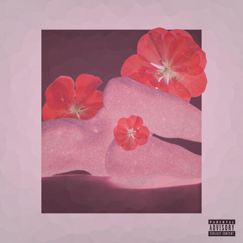 Sex on Me 2 album art