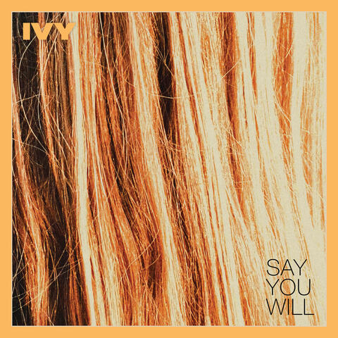 Say You Will album art