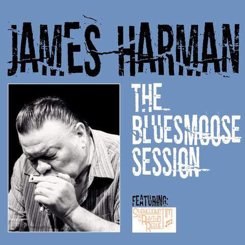 The Bluesmoose Session album art