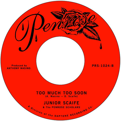 Too Much Too Soon album art