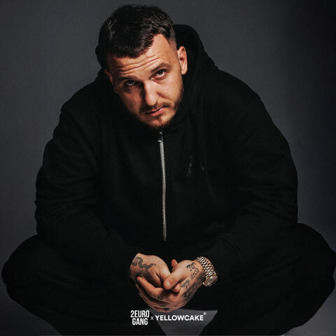 Flokët album art