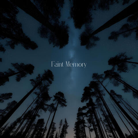 Faint Memory album art