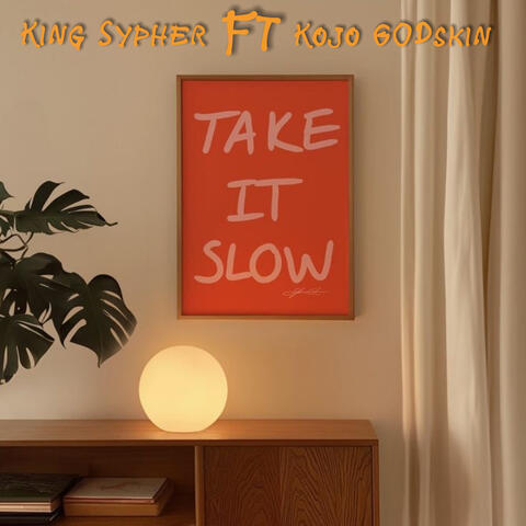 TAKE IT SLOW album art