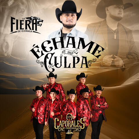 Echame A Mi La Culpa album art
