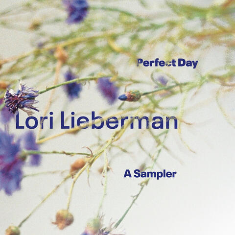 Perfect Day A Sampler album art