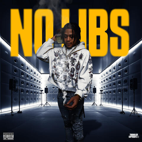 No Libs album art