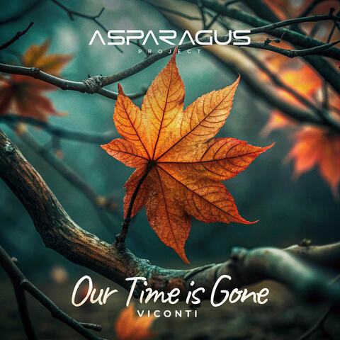 Our time is gone album art