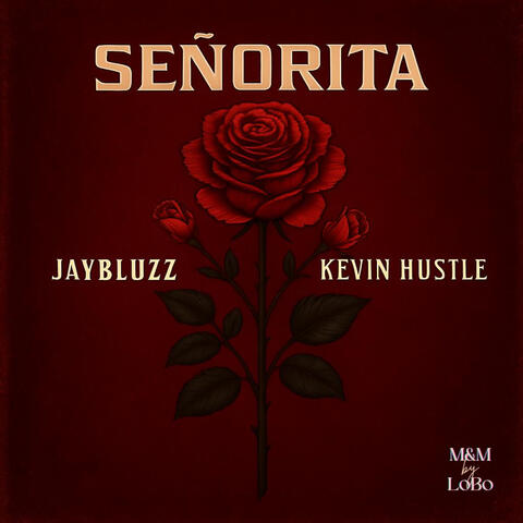 SENORITA album art