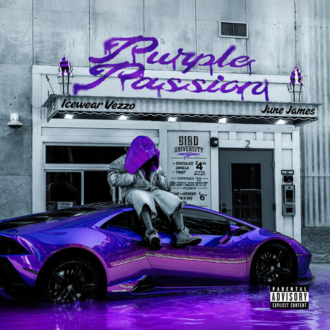Purple Passion album art