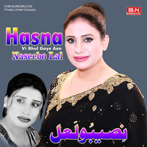 Hasna Vi Bhul Gaye Aan album art