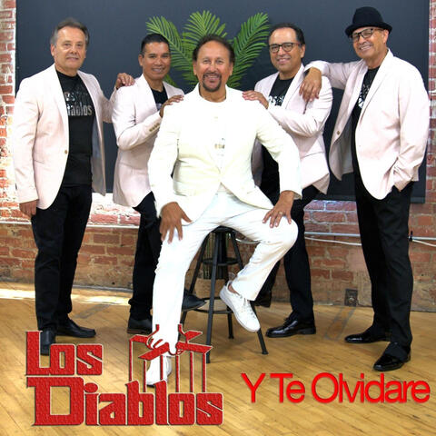 Y TE OLVIDARE album art