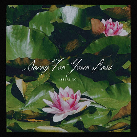 Sorry For Your Loss album art