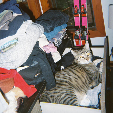 CAT SONG album art