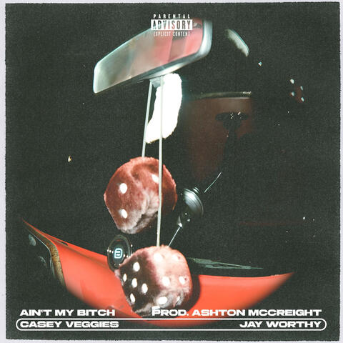 Ain't My Bitch album art